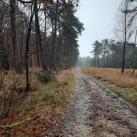 בית נופש Natuurhuisje Govinda