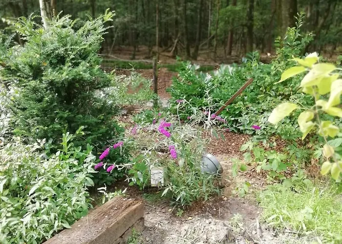 Natuurhuisje Govinda Semesterbostad *