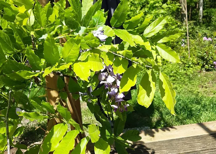 Semesterbostad Natuurhuisje Govinda *