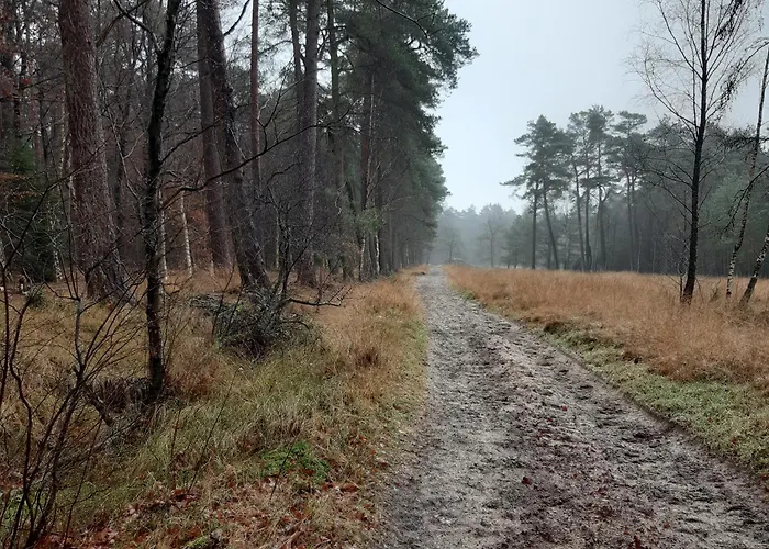 Semesterbostad Natuurhuisje Govinda