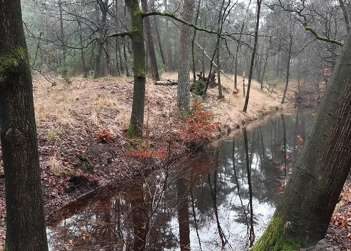Natuurhuisje Govinda Semesterbostad