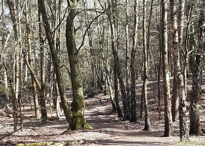 Natuurhuisje Govinda