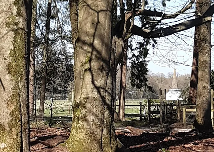 Natuurhuisje Govinda Semesterbostad *