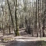 Natuurhuisje Govinda