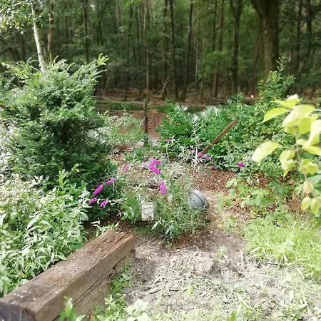 Natuurhuisje Govinda Feriehus *