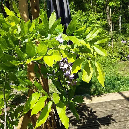 Feriehus Natuurhuisje Govinda *