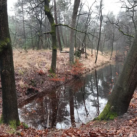 Natuurhuisje Govinda Feriehus