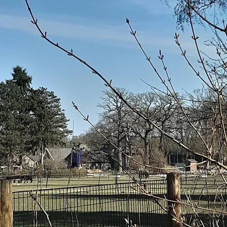 Natuurhuisje Govinda Feriehus *