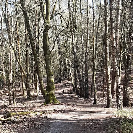 Natuurhuisje Govinda